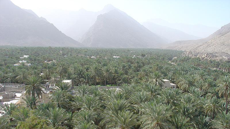 Oman Studienreise