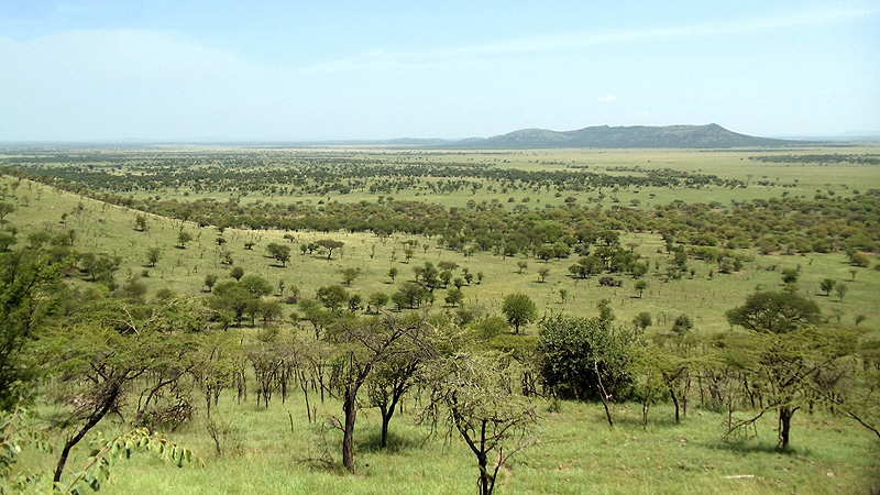 Tanzania, Blick auf die Serengeti