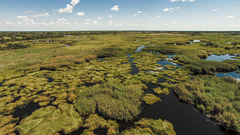 Okavango-Delta, Botswana