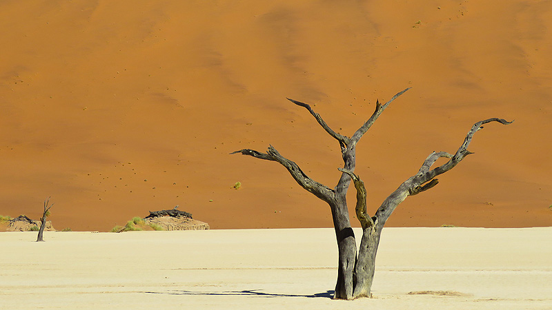 Namib Wüste, Sossusvlei, Namibia