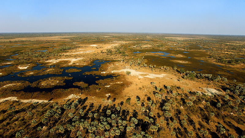 Etosha NP, Namibia
