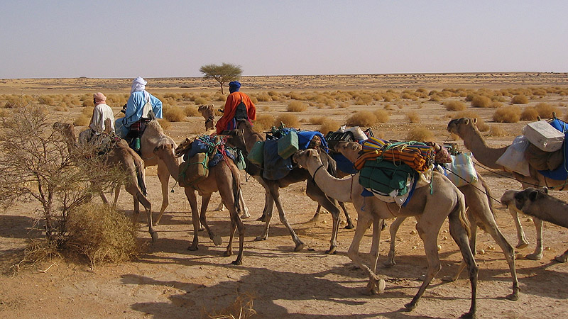 Algerien