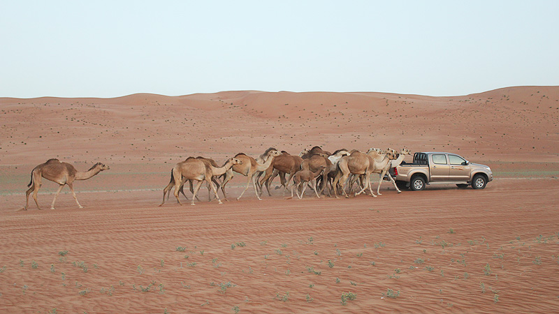Wahiba Wüste Oman