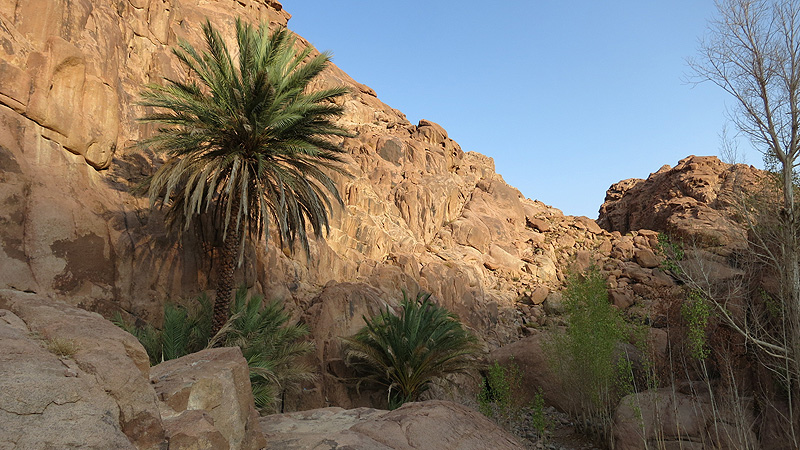 Hochgebirge Sinai