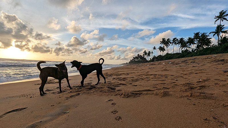 Sri Lanka