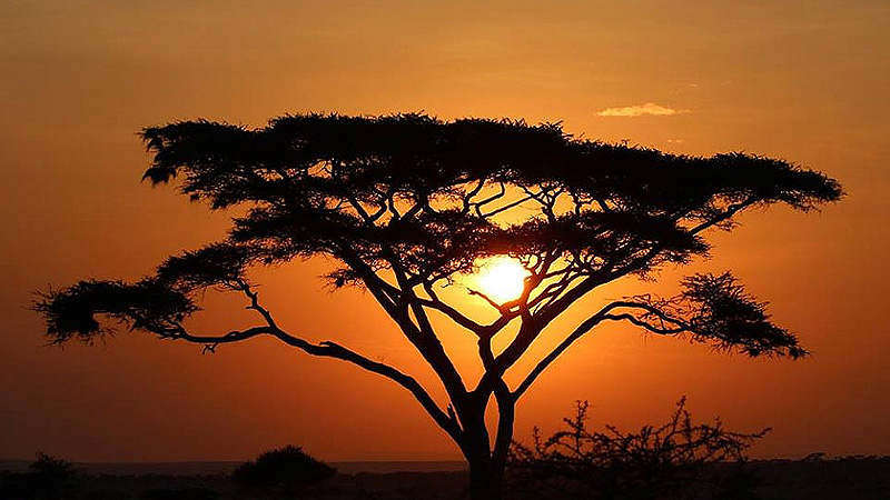 Sonnenuntergang in der Savanne, Tanzania